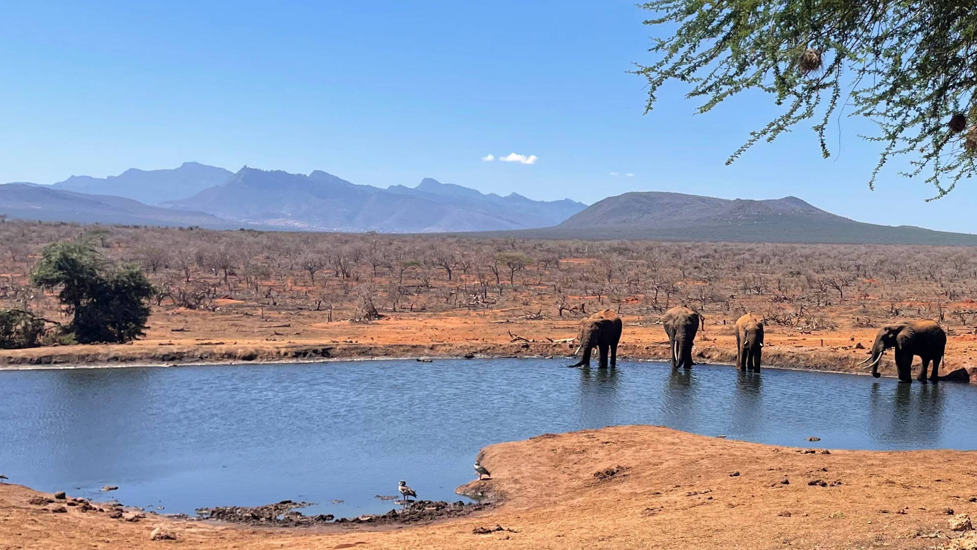 Day Retreats - setting the scene