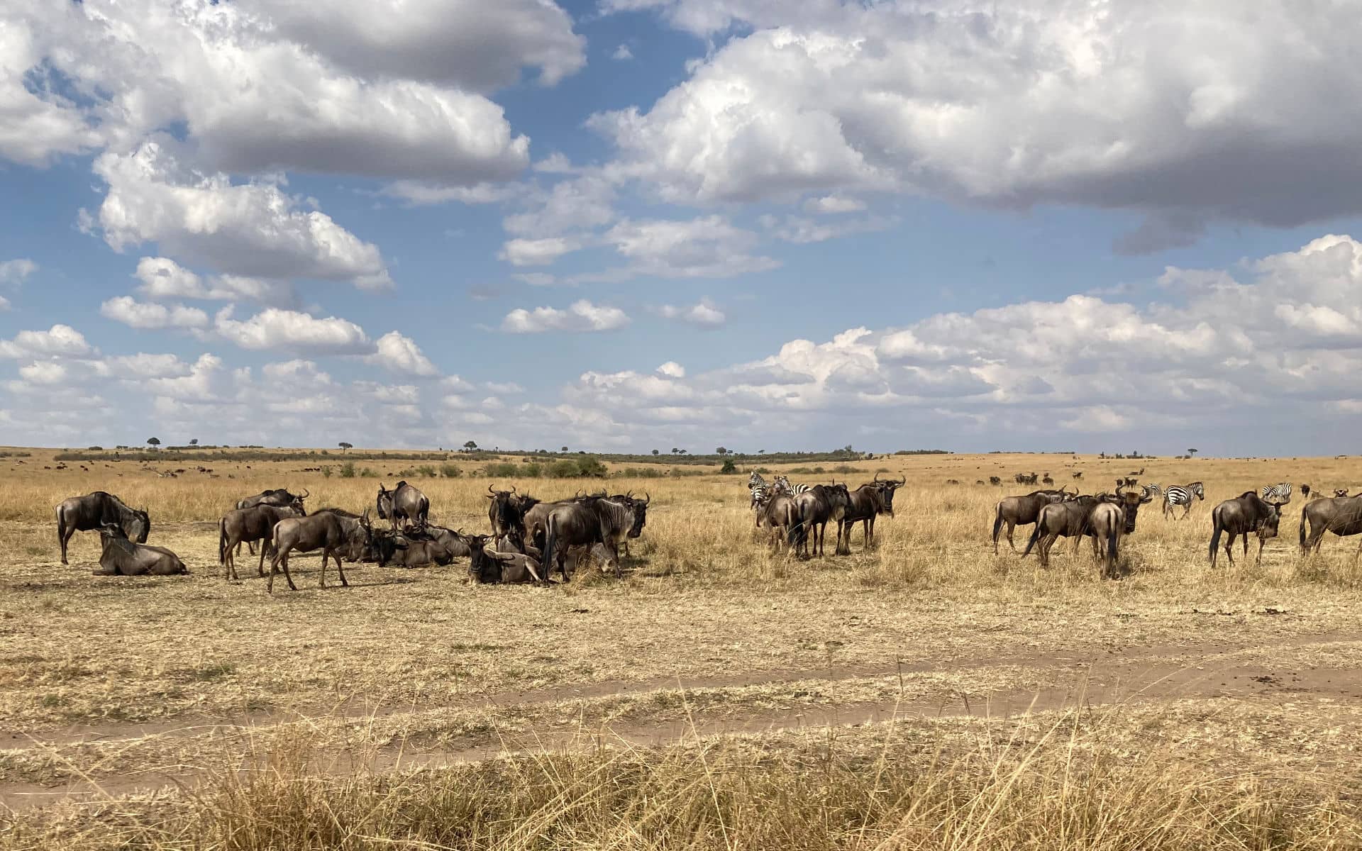 Week-Long Retreats - setting the scene