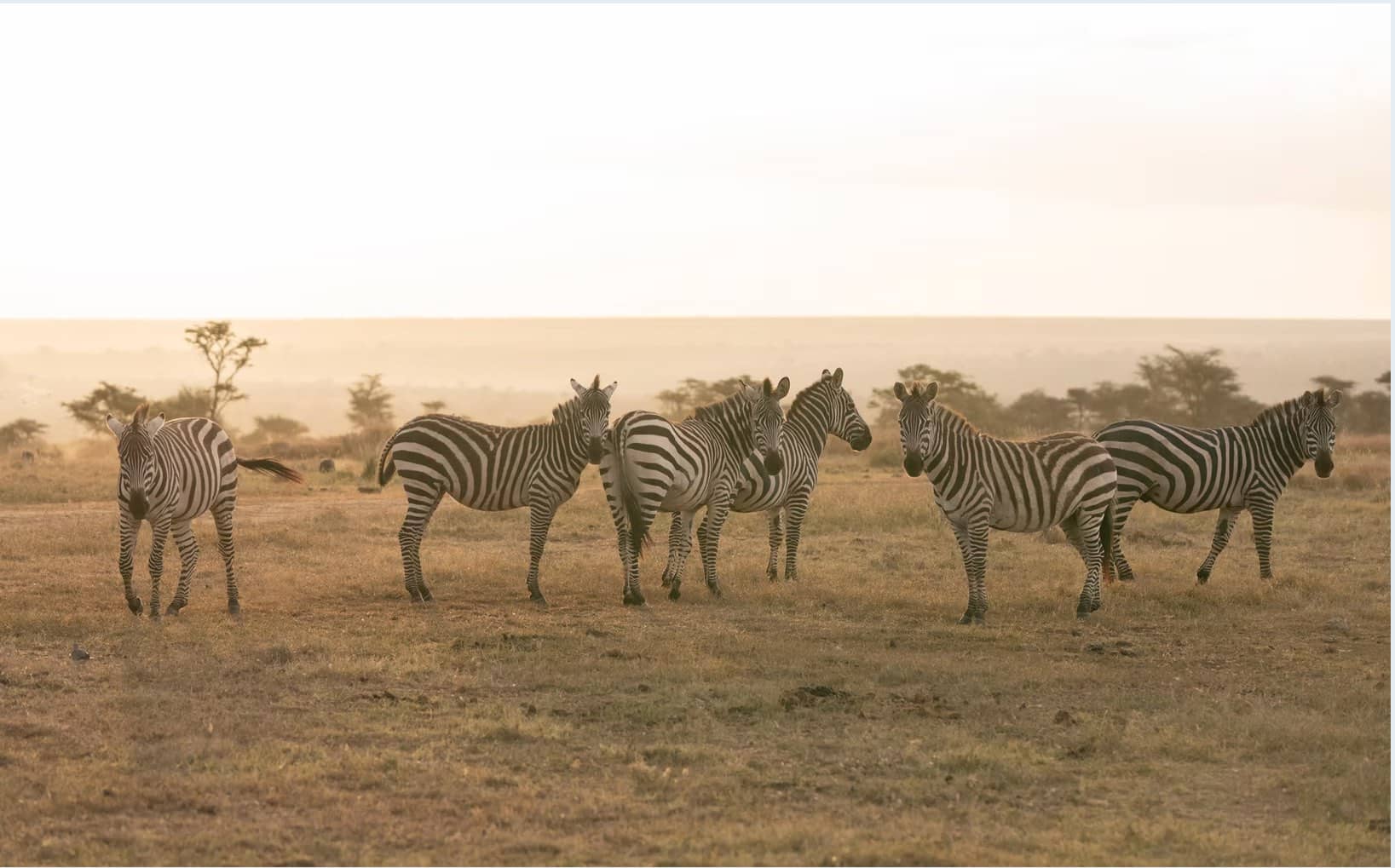 Mobile Workshops - setting the scene